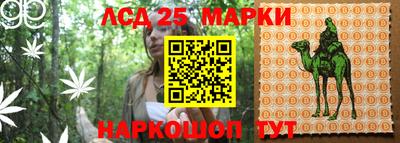 гидропоника Мариинск