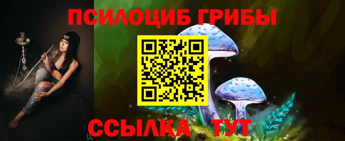 Солнечногорск  Псилоцибиновые грибы ЛСД  Вход с VPN 